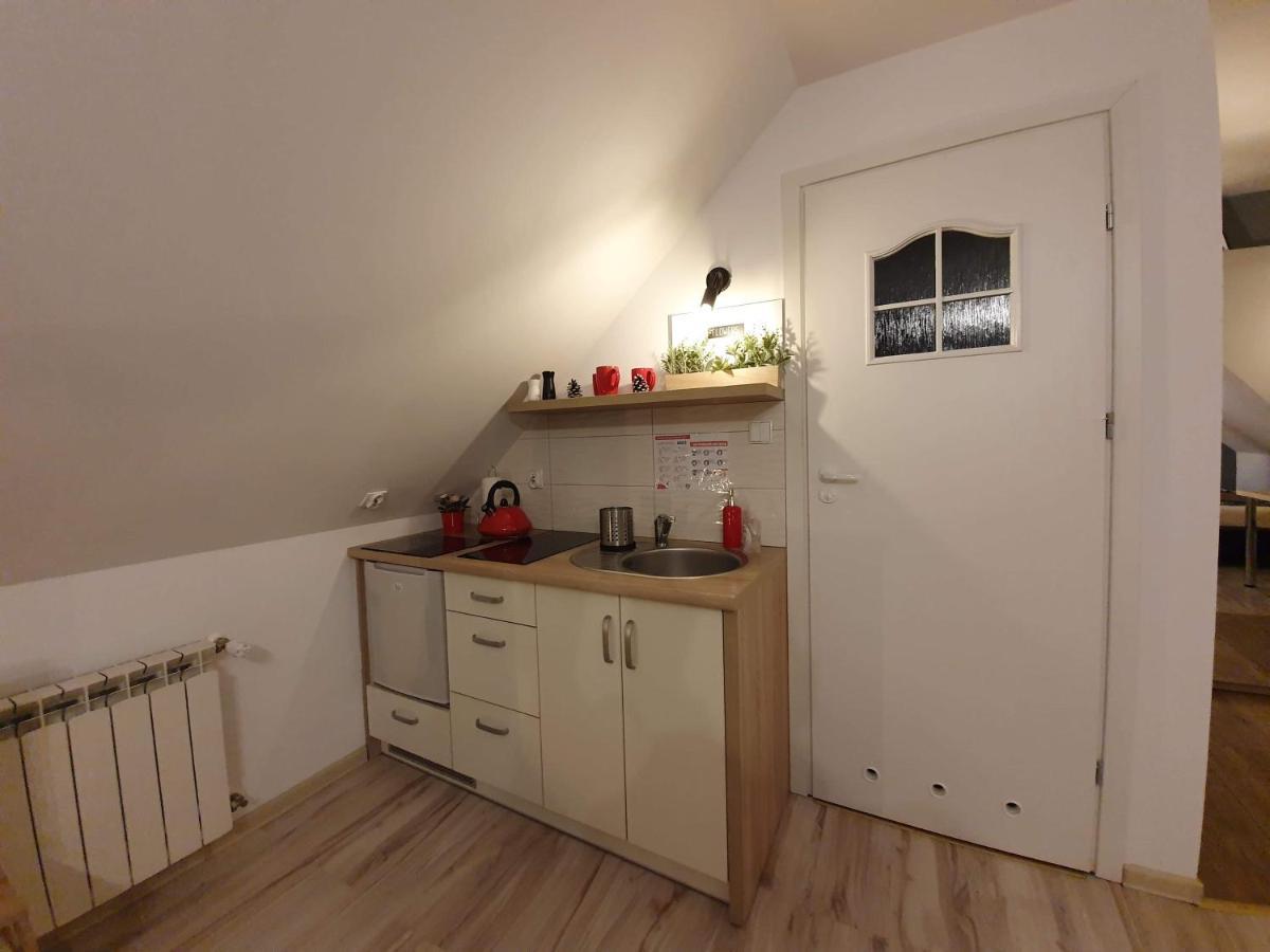 Apartament Jaskier Закопане Екстер'єр фото