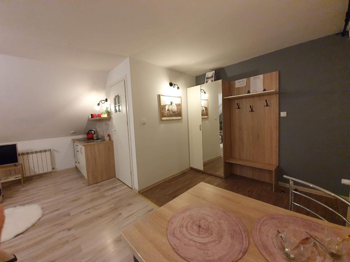 Apartament Jaskier Закопане Екстер'єр фото